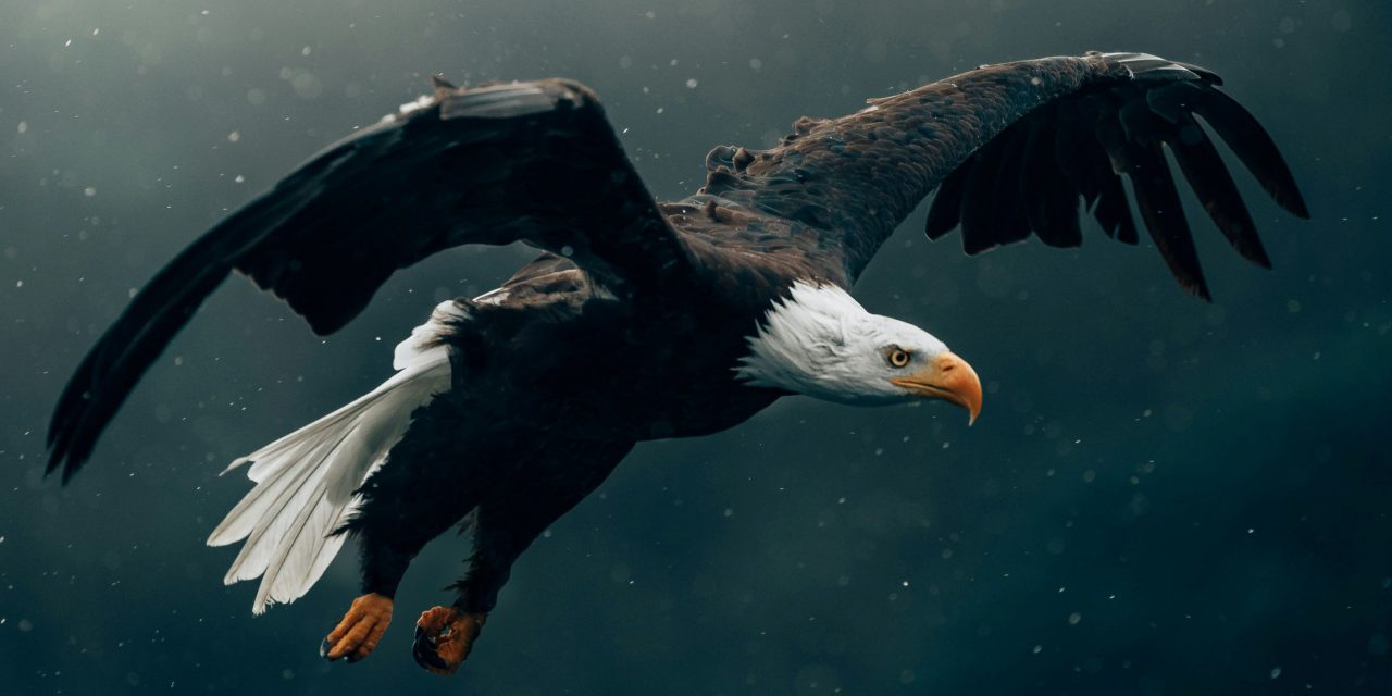 Supervision: Profis haben Support…