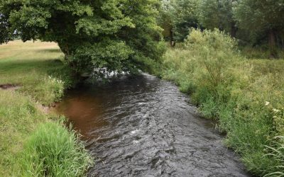 Stark und feinfühlig: Warum Resilienz und Selbstfürsorge für hochsensible Menschen so wichtig sind