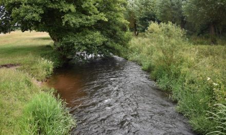 Stark und feinfühlig: Warum Resilienz und Selbstfürsorge für hochsensible Menschen so wichtig sind