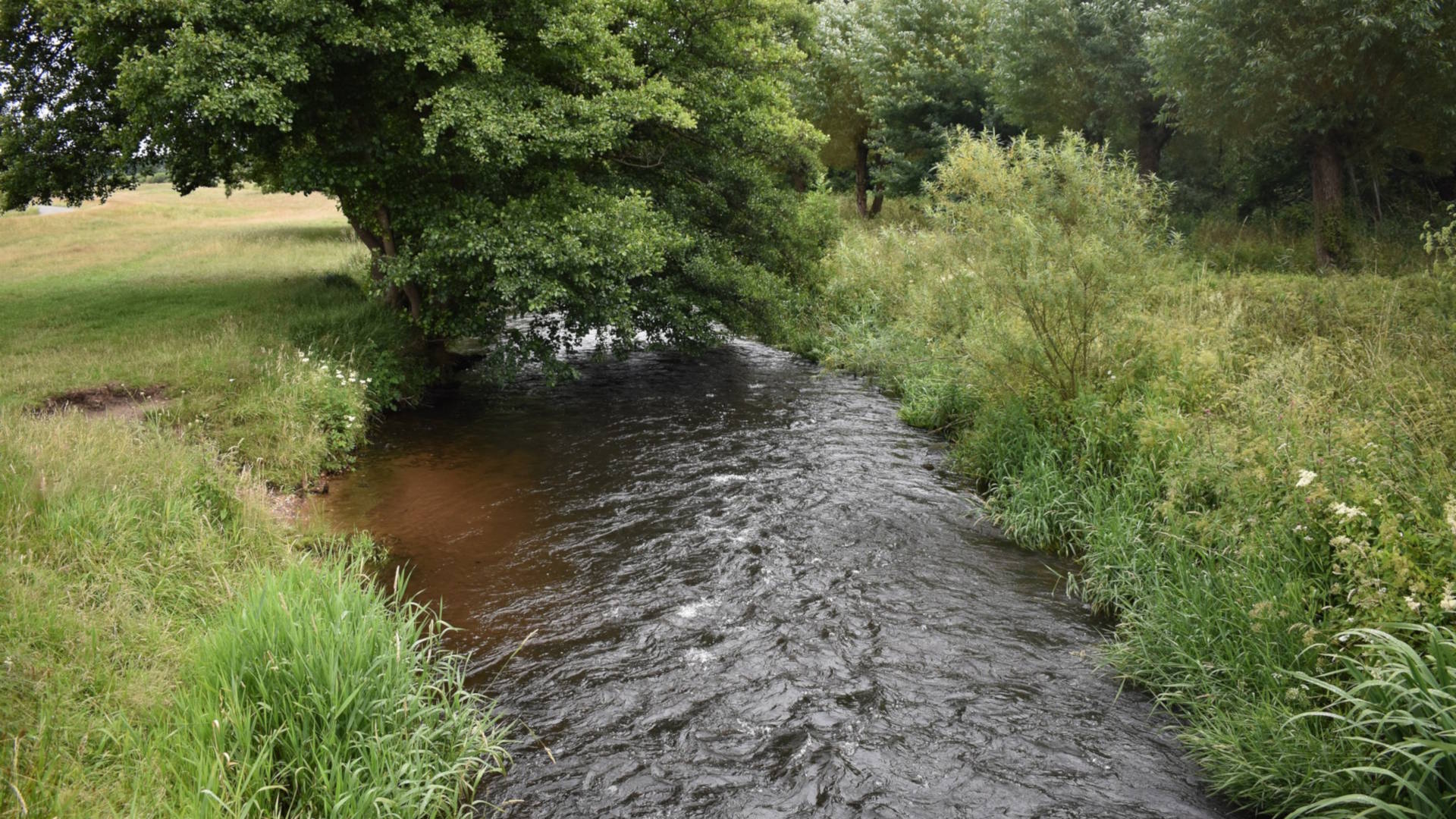 Hochsensibilität Natur als Rückzugsort. Eine Möglichkeit der Selbstfürsorge.