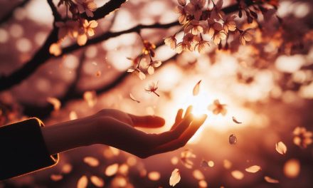 Warum das Unwiederbringliche so wertvoll ist