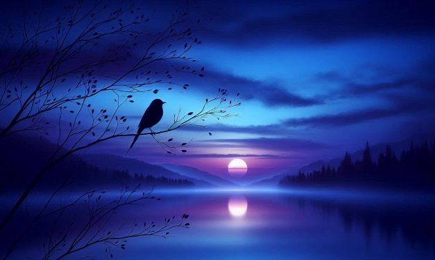 Der Gesang im Dunkeln