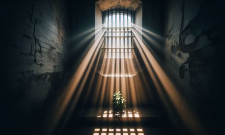 Die Zeit, die du für verschwendet hältst