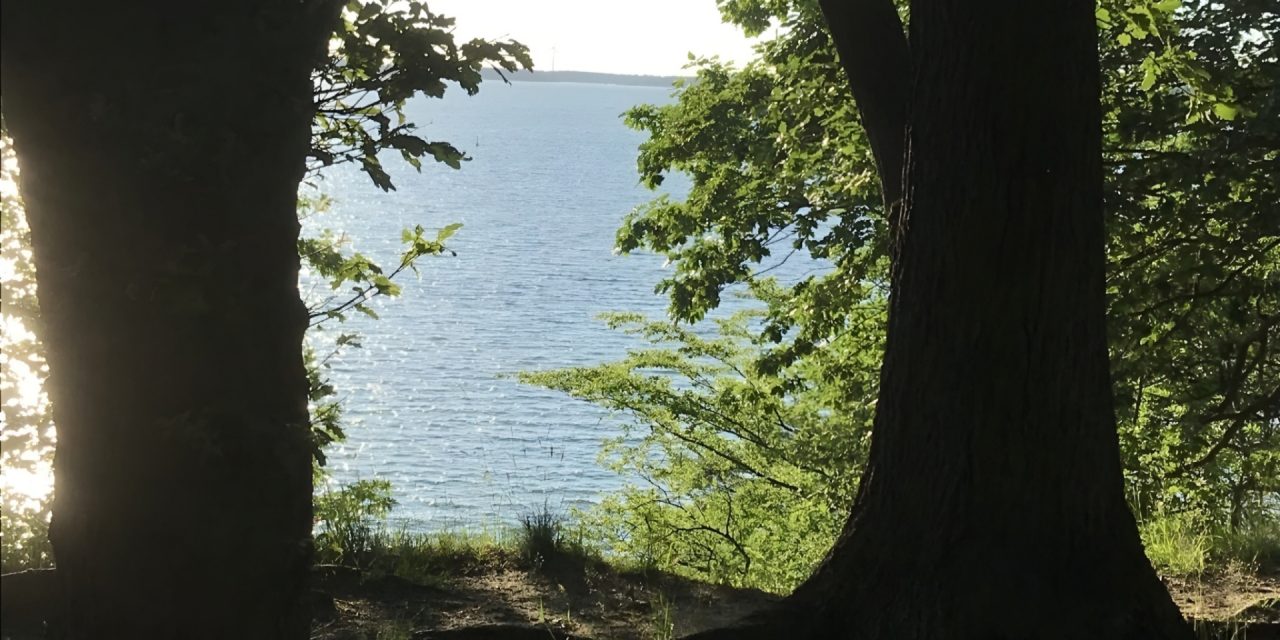 Resilient durch die Welt gehen: Wie innere Stärke Hochsensibilität leichter macht