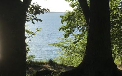 Resilient durch die Welt gehen: Wie innere Stärke Hochsensibilität leichter macht