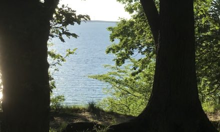 Resilient durch die Welt gehen: Wie innere Stärke Hochsensibilität leichter macht