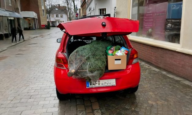 Survival-Tipps im Weihnachtsstress: Fünf Strategien, um durchs Ziel zu kommen, ohne umzufallen