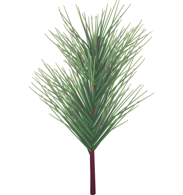 christmass-illustration-04b@2x