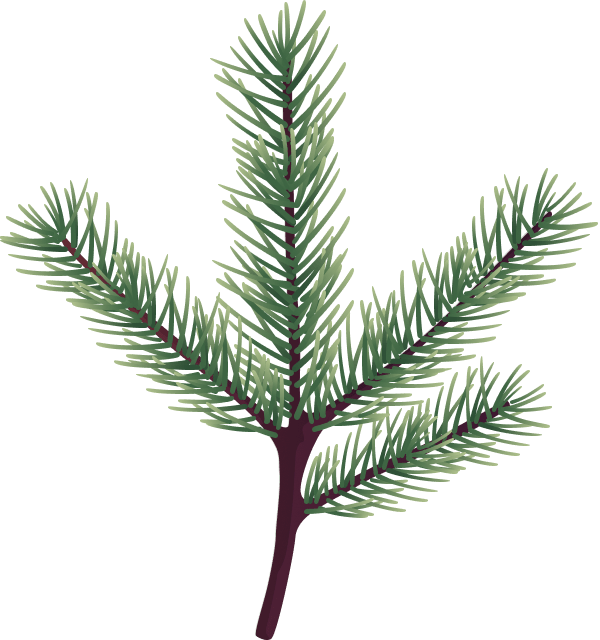 christmass-illustration-08b@2x