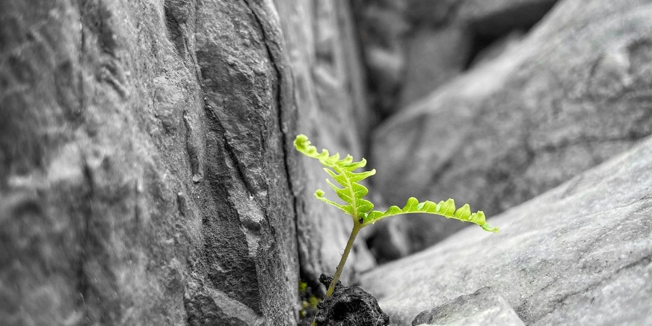 Individuelle Resilienz umfassend trainieren