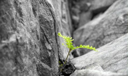 Individuelle Resilienz umfassend trainieren